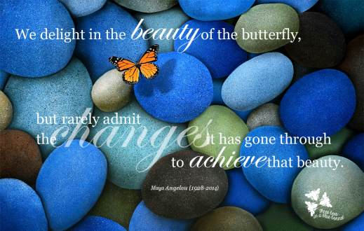 delight-in-the-beauty-of-the-butterfly-maya-angelou-quote